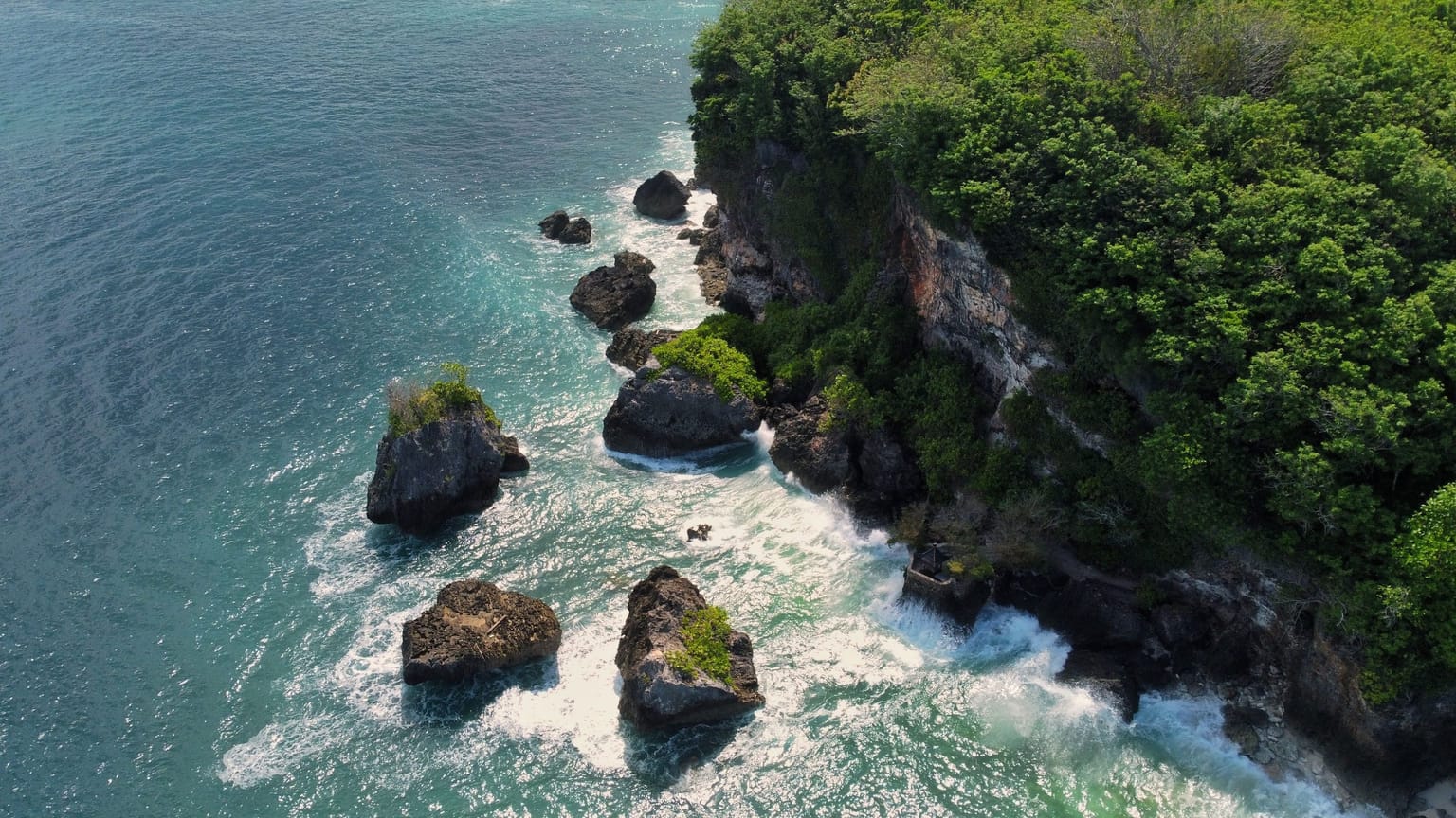 An aerial view of a forested cliff meeting turquoise water and rock formations.